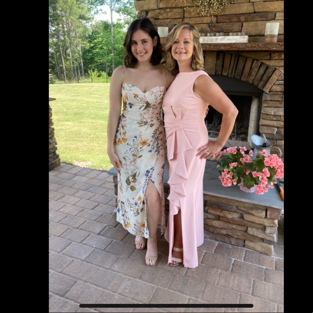 Reformation Kourtney Dress in Frolic